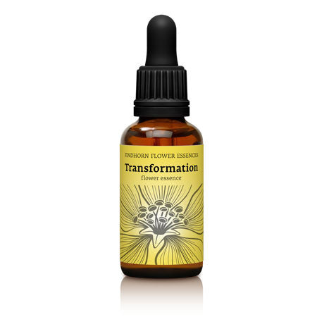 TRANSFORMATION_NEW_2048x.jpg?v