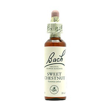 バッチフラワーレメディ シングルエッセンス 20ml - BETHESDA